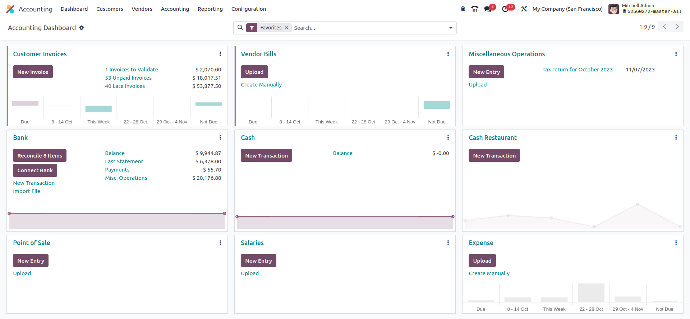 accounting management erp solution for fmcg