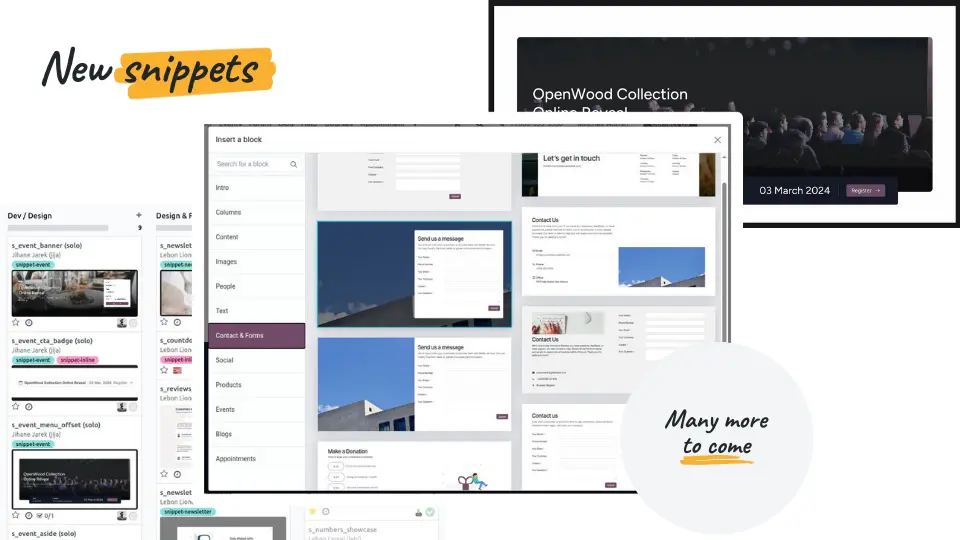 New Snippets - Odoo 19 features